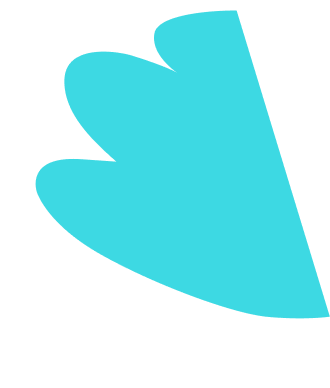 Affordable hair transplant in Panipat